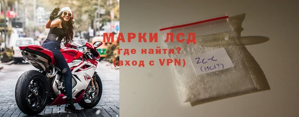 PSILOCYBIN Алзамай
