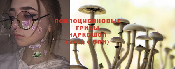PSILOCYBIN Алзамай