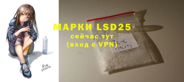 PSILOCYBIN Алзамай