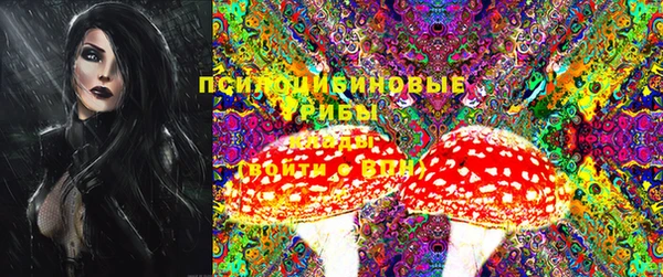 PSILOCYBIN Алзамай