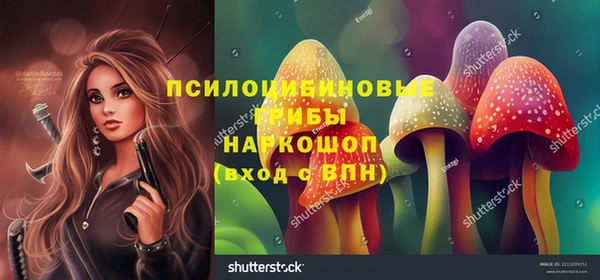 PSILOCYBIN Алзамай