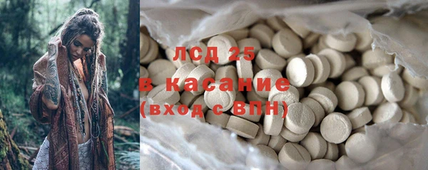 PSILOCYBIN Алзамай